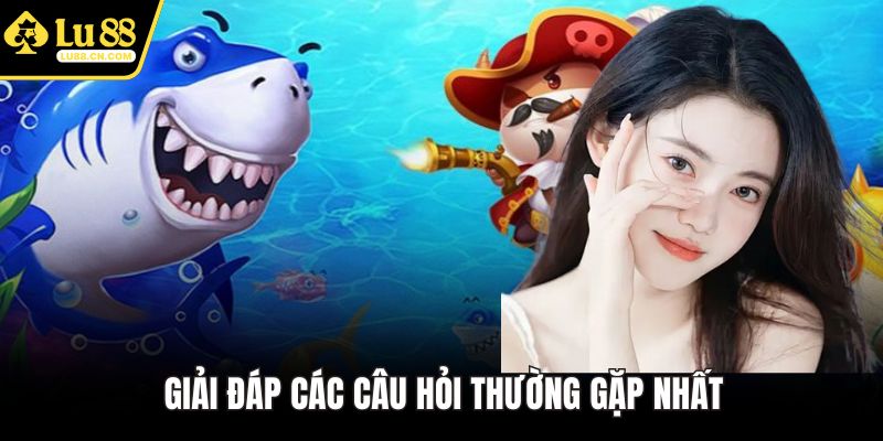 Giải đáp các câu hỏi thường gặp nhất